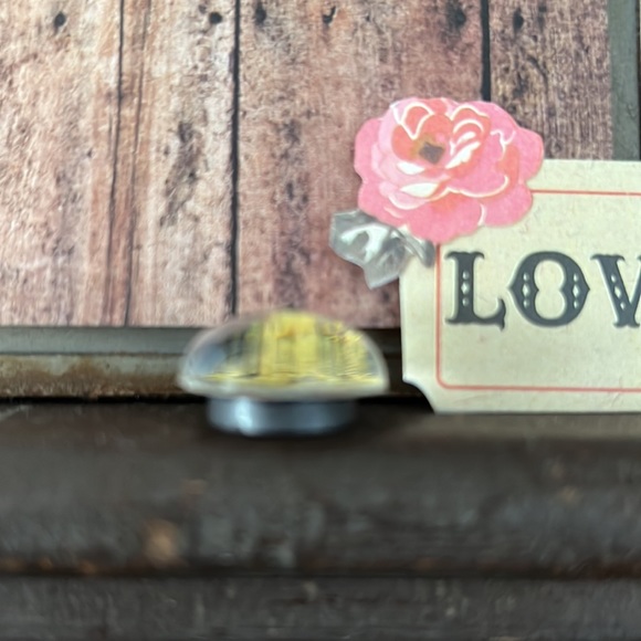 🦋Set of 4 Butterfly Imagery Magnets - Picture 3 of 5